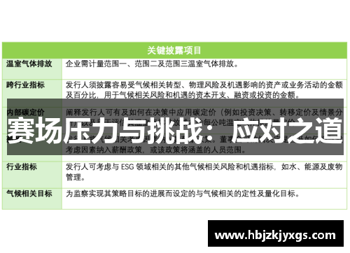 赛场压力与挑战：应对之道